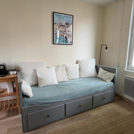 Appartement Bords De L'Eure Charmant Studio Chartres Eksteriør billede
